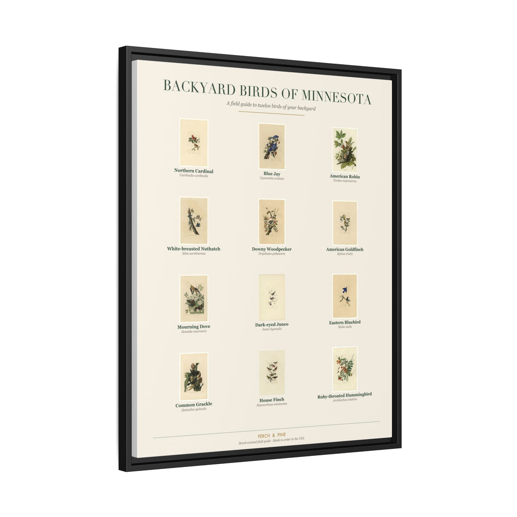 Backyard Birds of Minnesota — Framed Canvas Bird Identification Print