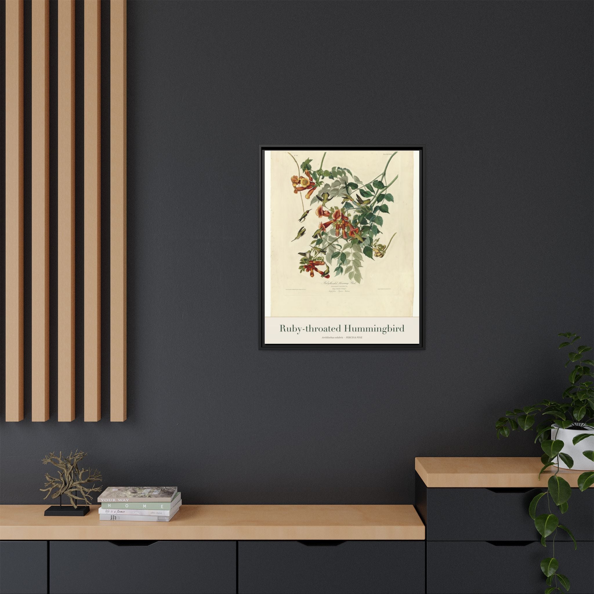 Ruby-throated Hummingbird — Framed Canvas Bird Print
