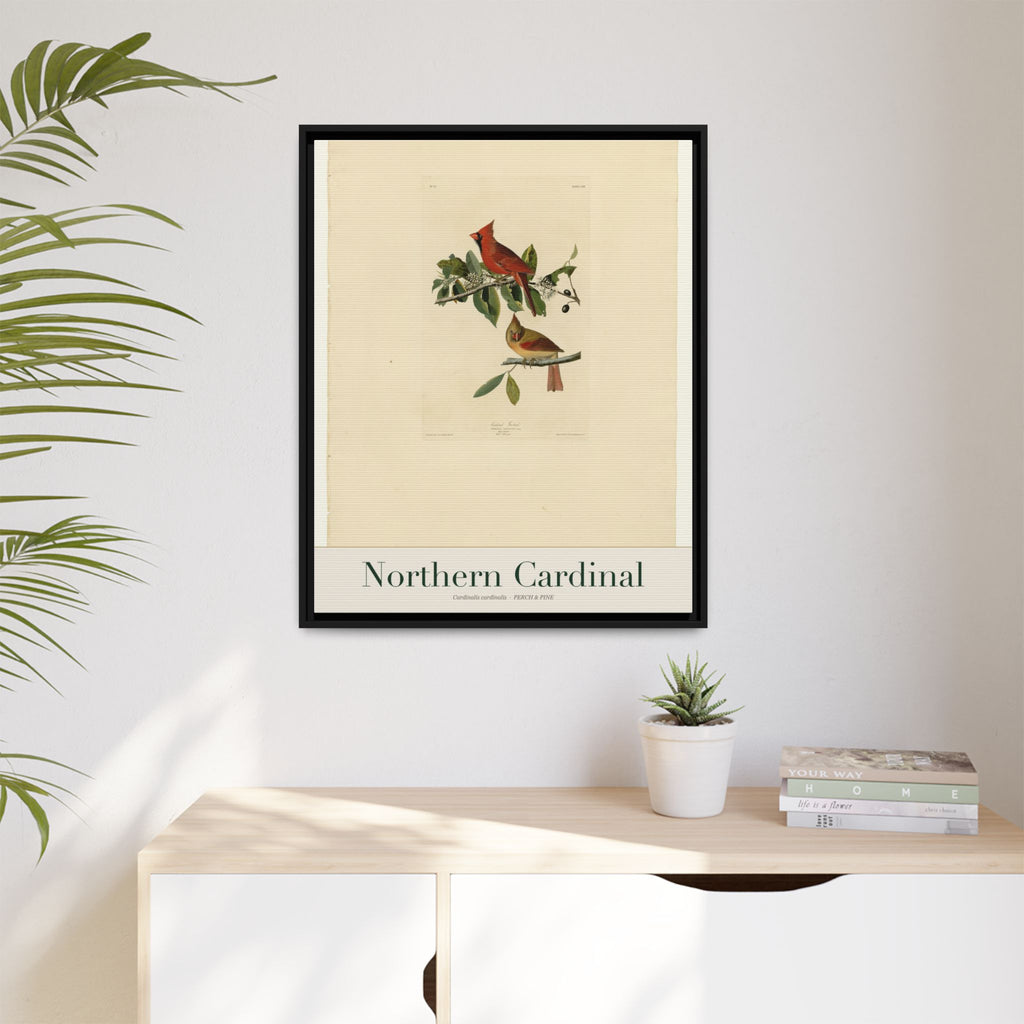 Northern Cardinal — Framed Canvas Bird Print