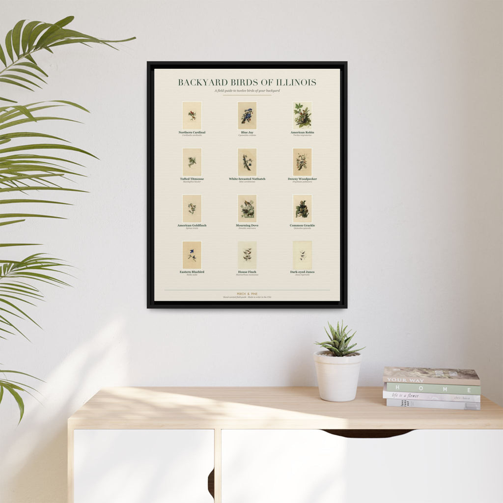 Backyard Birds of Illinois — Framed Canvas Bird Identification Print
