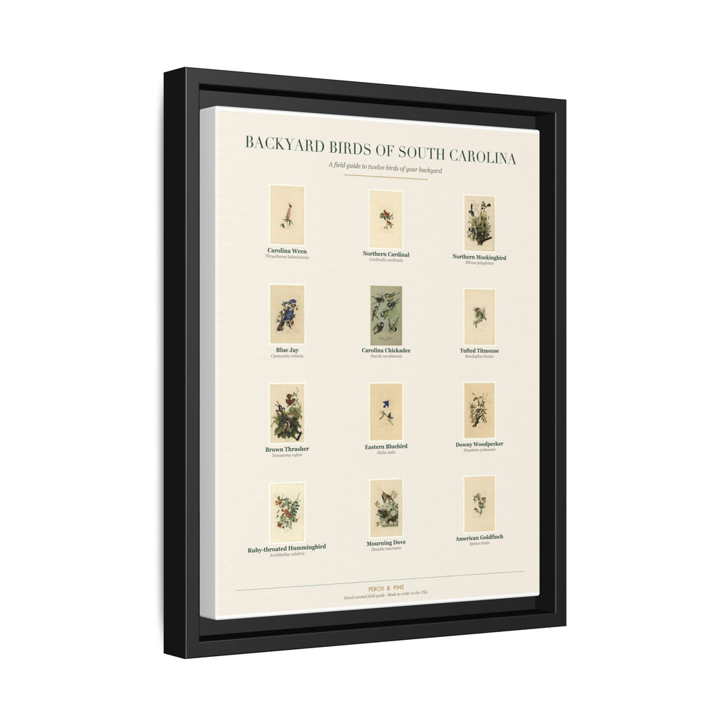 Backyard Birds of South Carolina — Framed Canvas Bird Identification Print