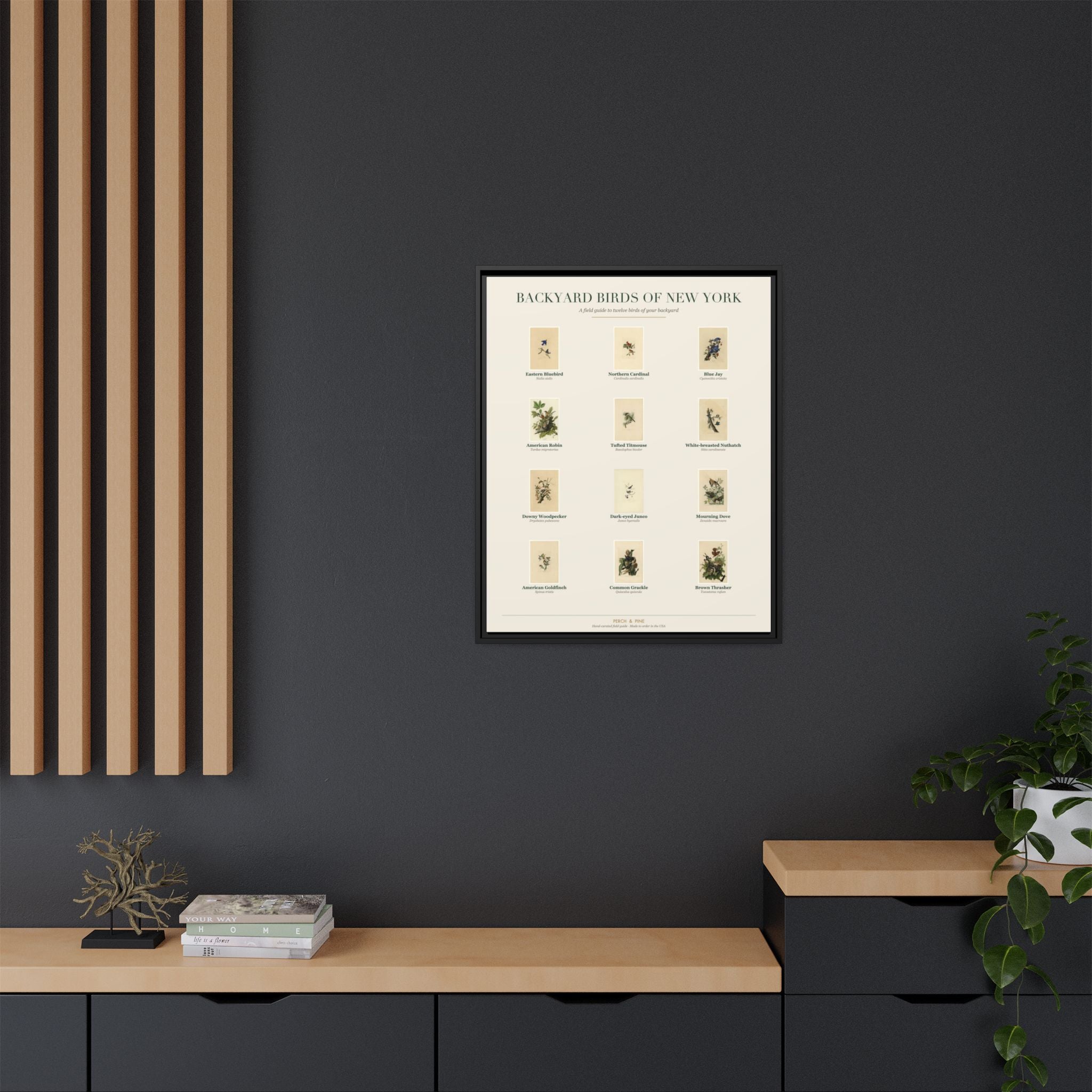 Backyard Birds of New York — Framed Canvas Bird Identification Print