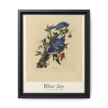 Blue Jay bird wall art — gallery-wrapped canvas | Perch & Pine