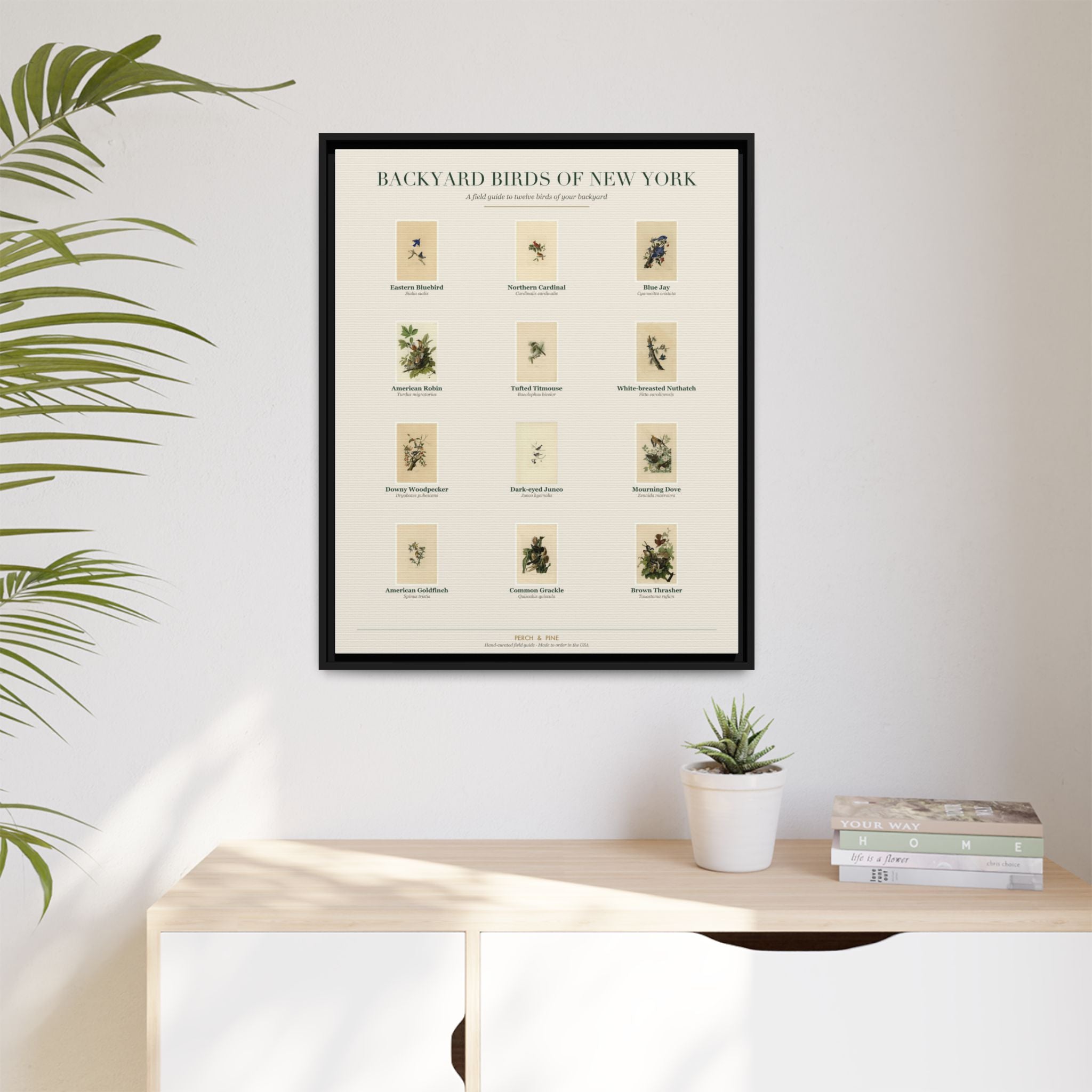Backyard Birds of New York — Framed Canvas Bird Identification Print