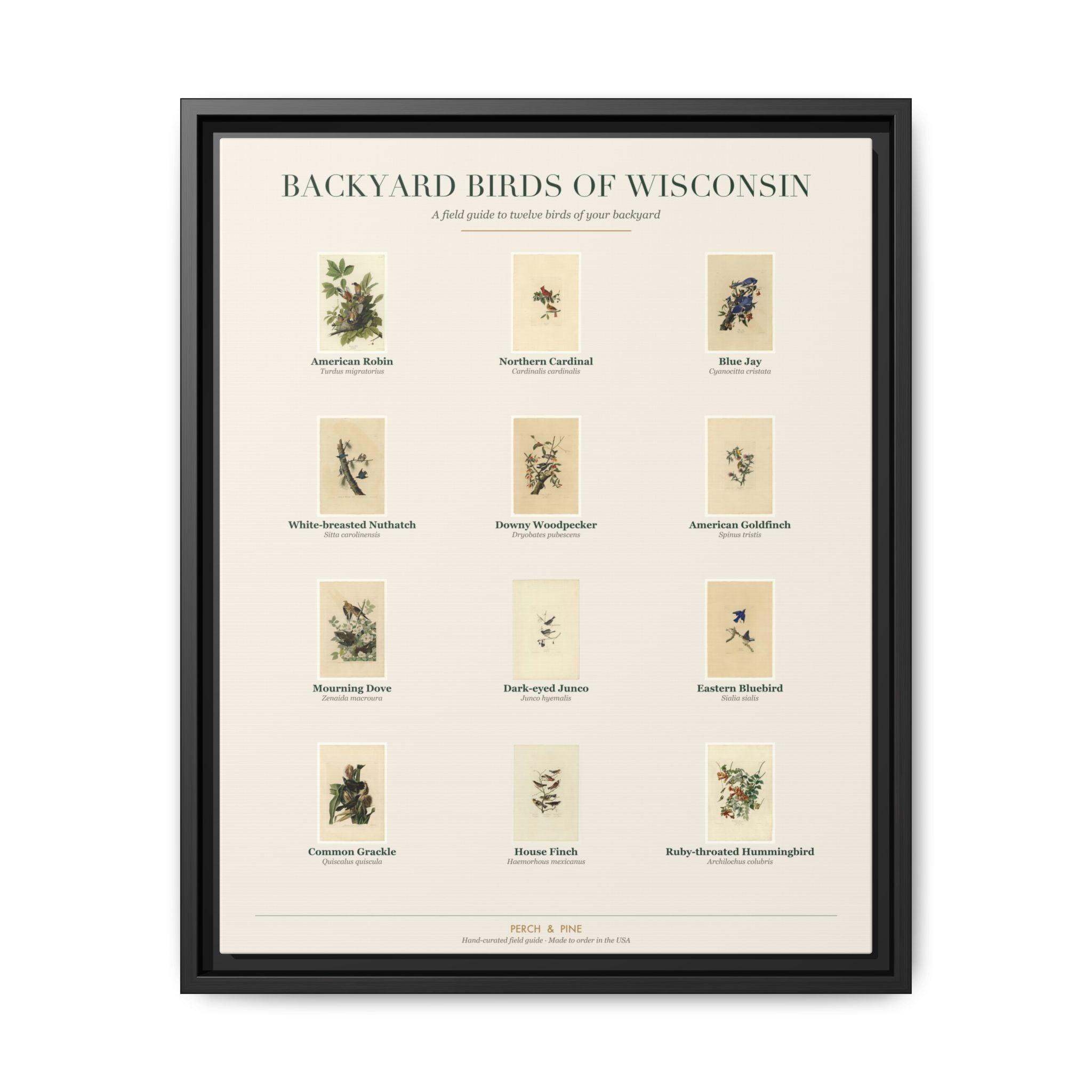Backyard Birds of Wisconsin — framed canvas wall art bird identification print | Perch & Pine