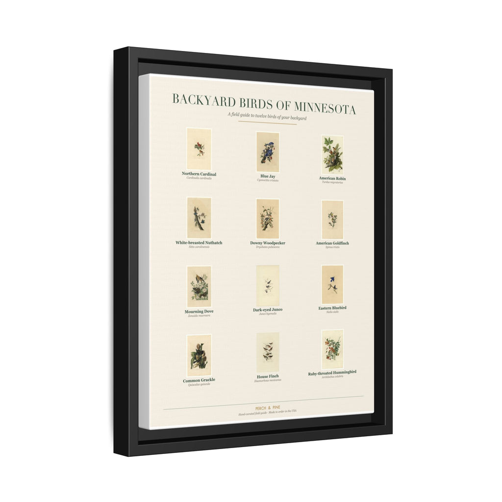 Backyard Birds of Minnesota — Framed Canvas Bird Identification Print
