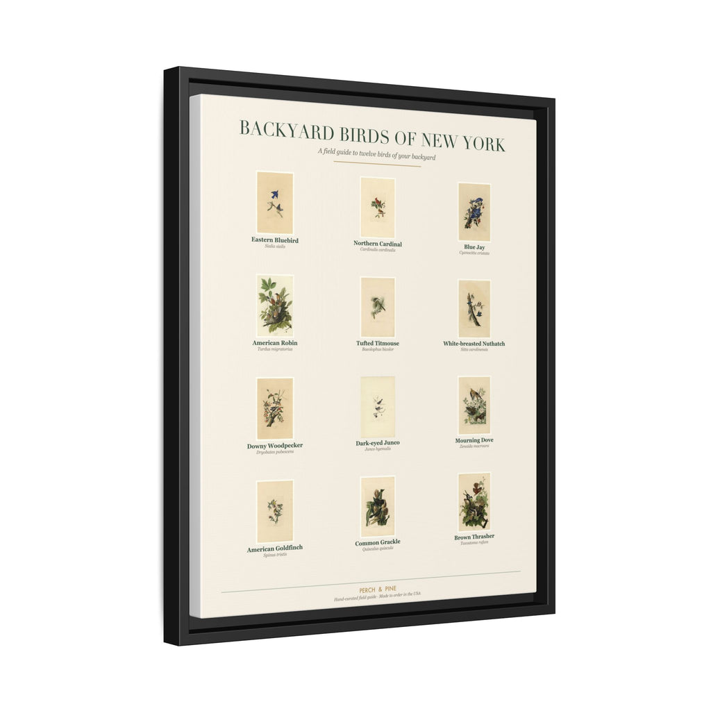 New York backyard birds print, species labeled by name | Perch & Pine