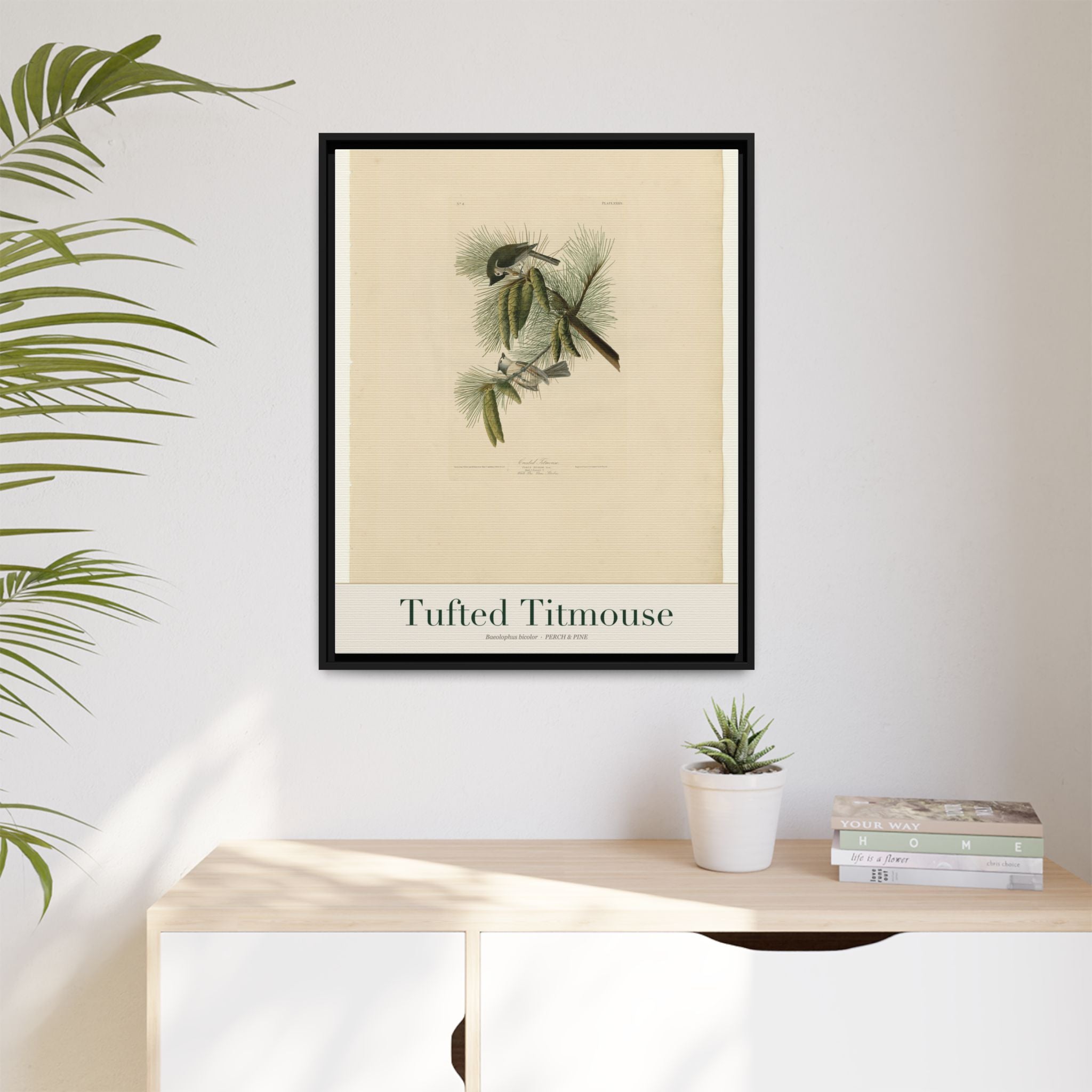 Tufted Titmouse — Framed Canvas Bird Print