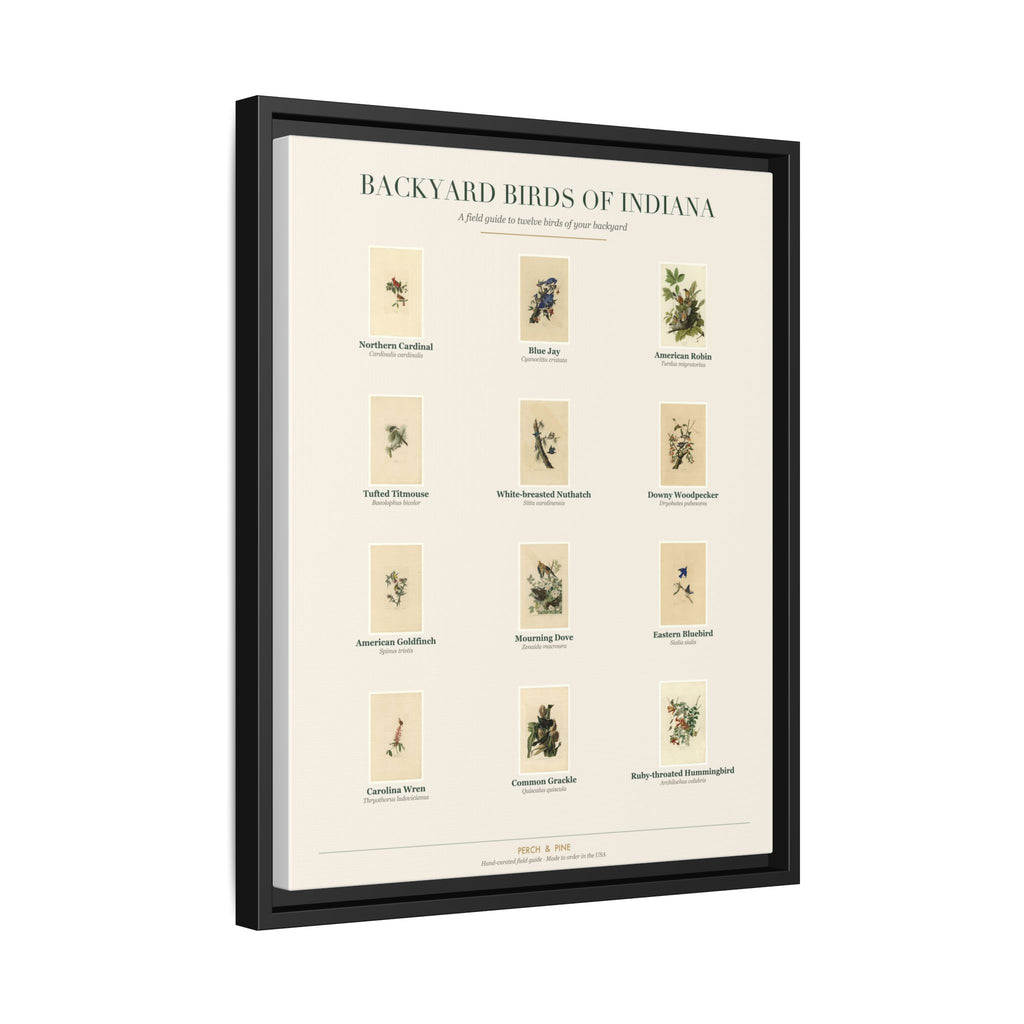 Indiana backyard birds print, species labeled by name | Perch & Pine