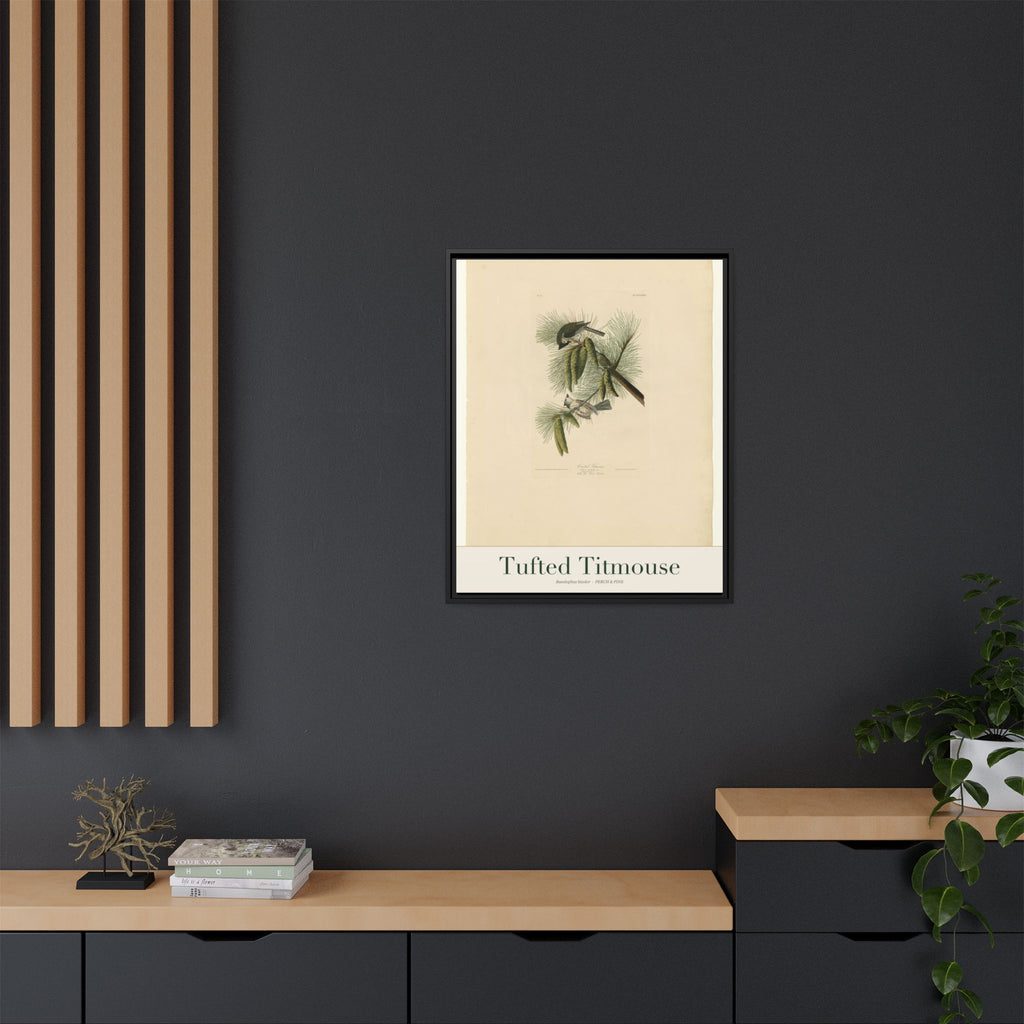 Tufted Titmouse — Framed Canvas Bird Print