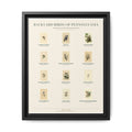 Pennsylvania bird field guide wall art — gallery-wrapped canvas | Perch & Pine