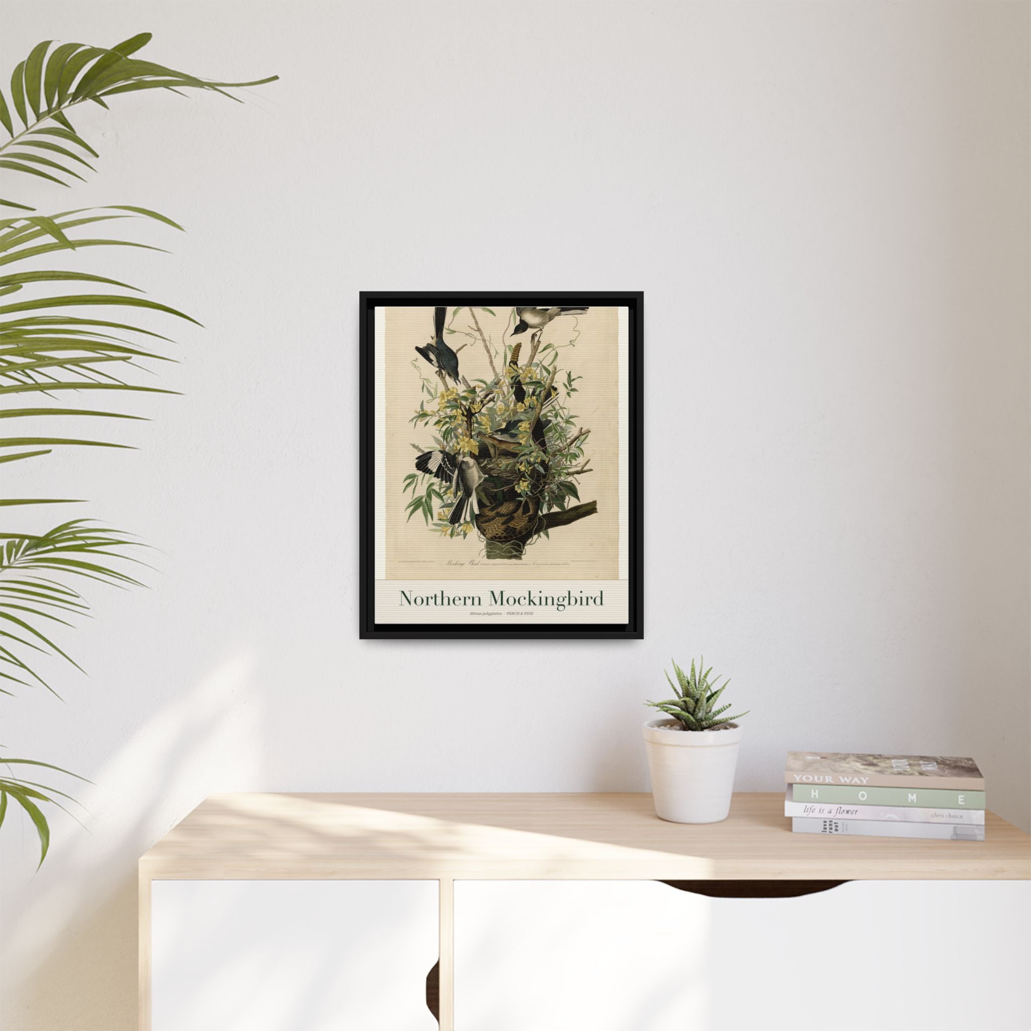 Northern Mockingbird heritage bird portrait, framed canvas | Perch & Pine