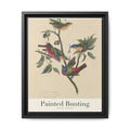 Painted Bunting bird wall art — gallery-wrapped canvas | Perch & Pine
