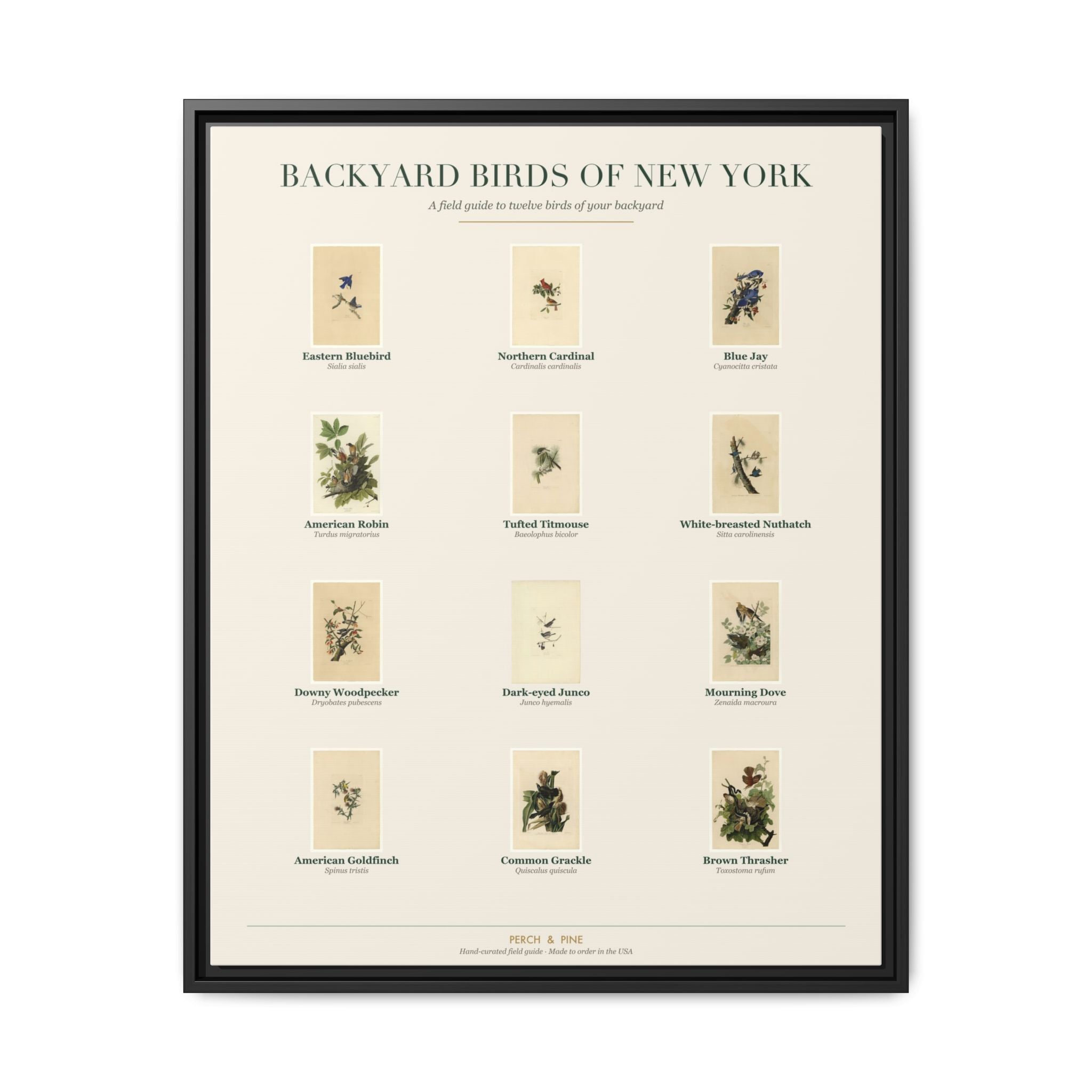 New York backyard birds framed canvas shown on a wall | Perch & Pine