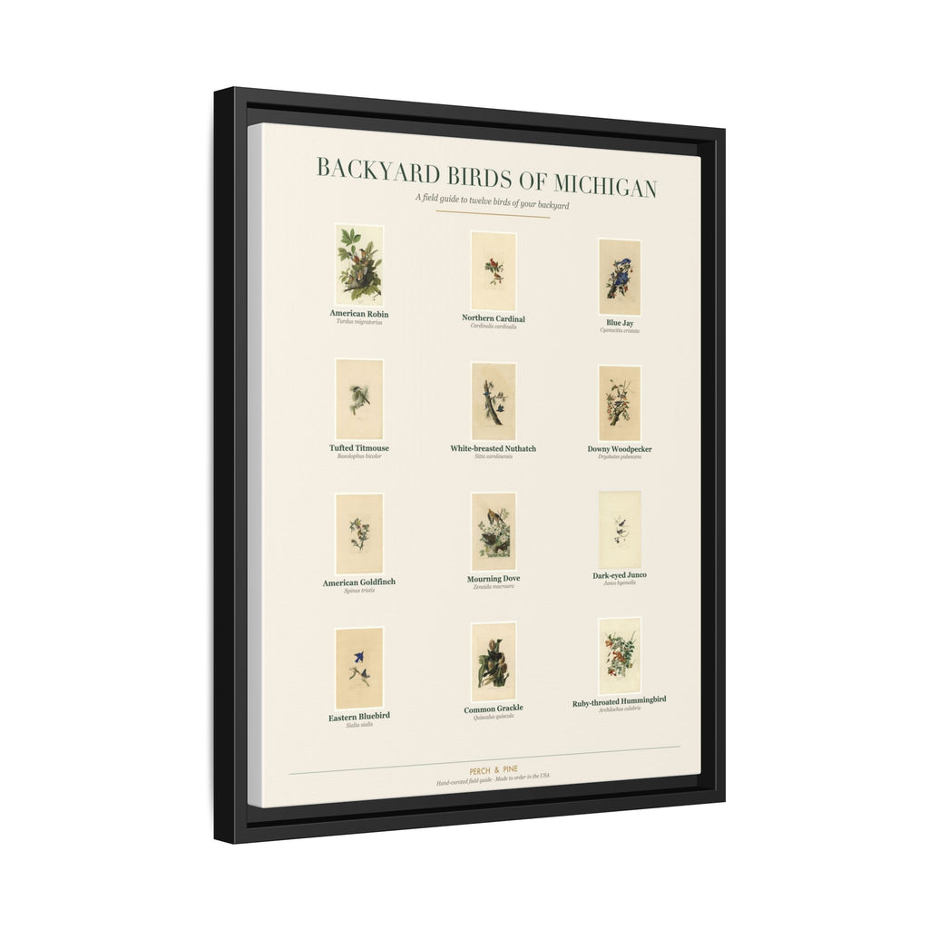 Michigan backyard birds print, species labeled by name | Perch & Pine