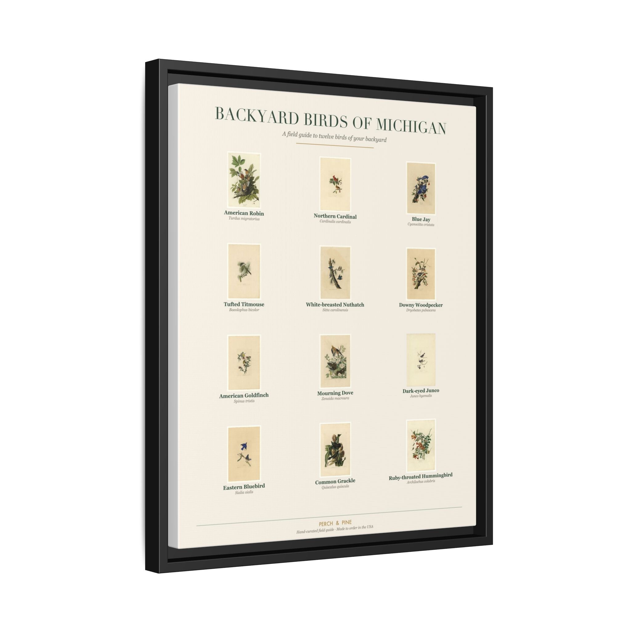 Michigan backyard birds print, species labeled by name | Perch & Pine