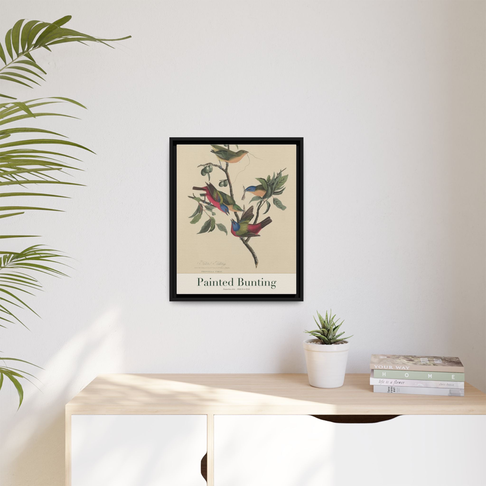 Painted Bunting heritage bird portrait, framed canvas | Perch & Pine