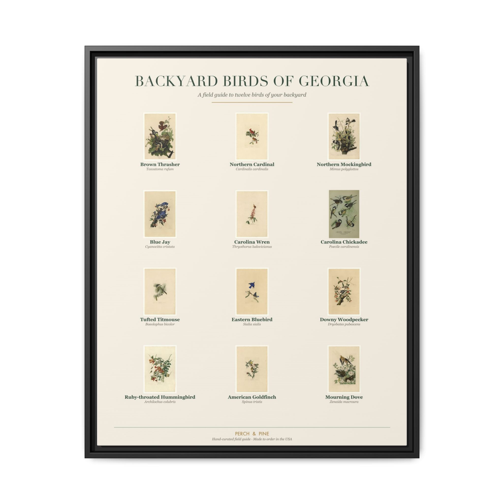 Georgia backyard birds framed canvas shown on a wall | Perch & Pine