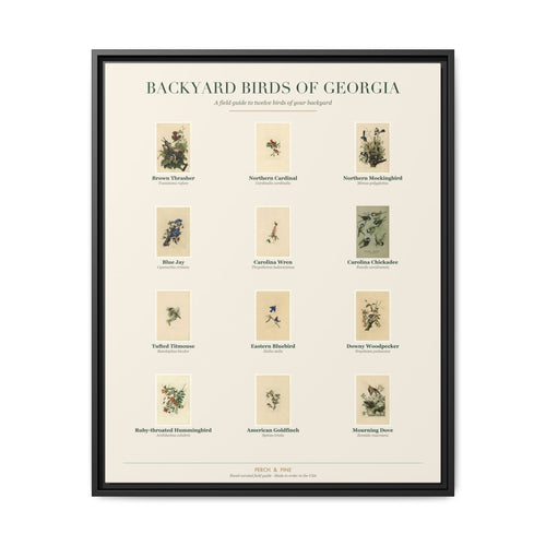 Georgia backyard birds framed canvas shown on a wall | Perch & Pine