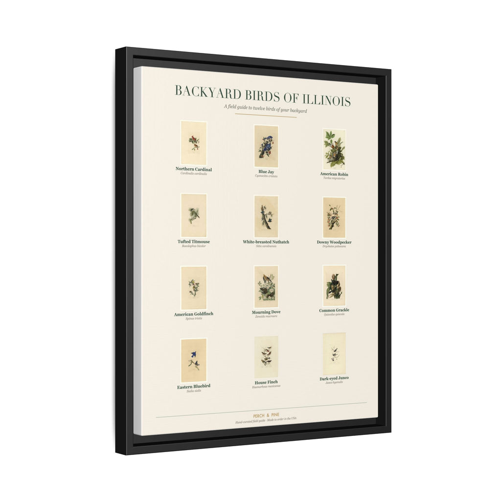 Illinois backyard birds print, species labeled by name | Perch & Pine