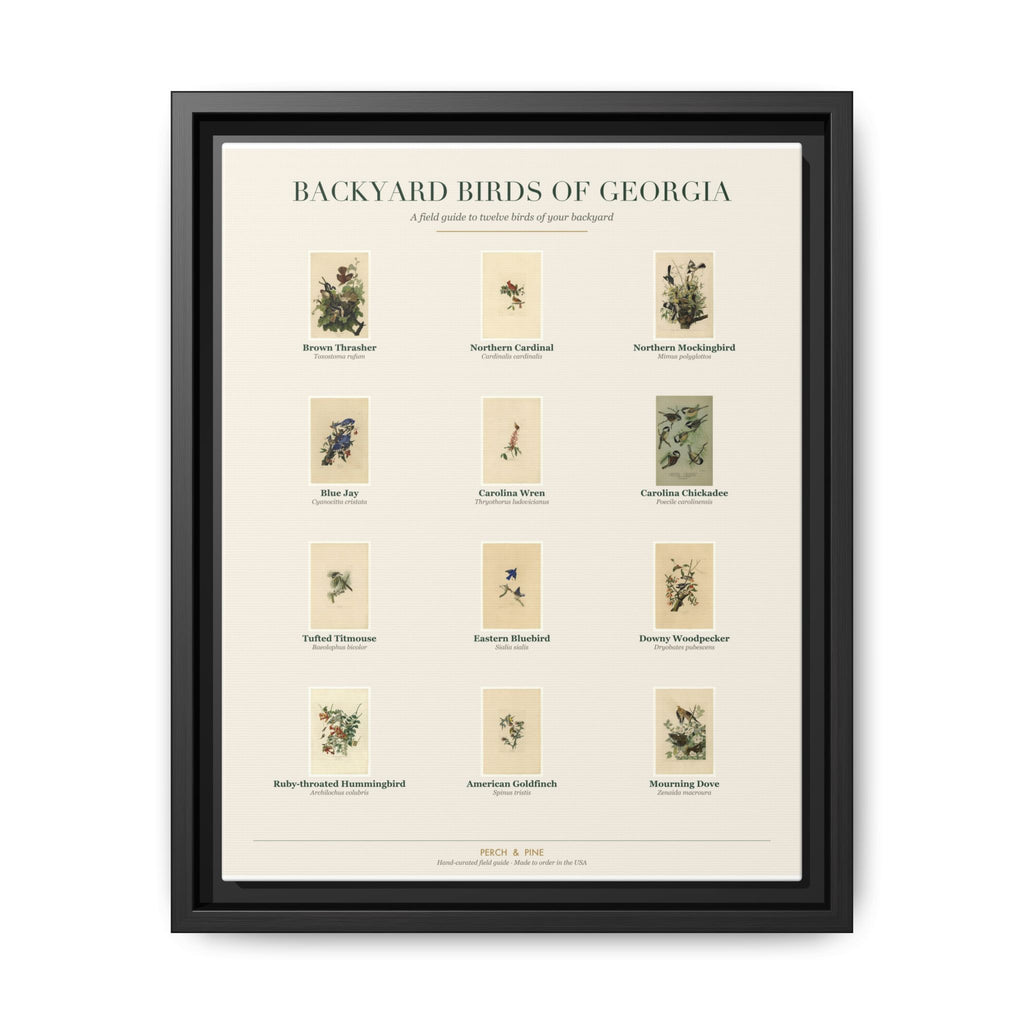 Georgia bird field guide wall art — gallery-wrapped canvas | Perch & Pine