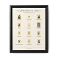 Georgia bird field guide wall art — gallery-wrapped canvas | Perch & Pine