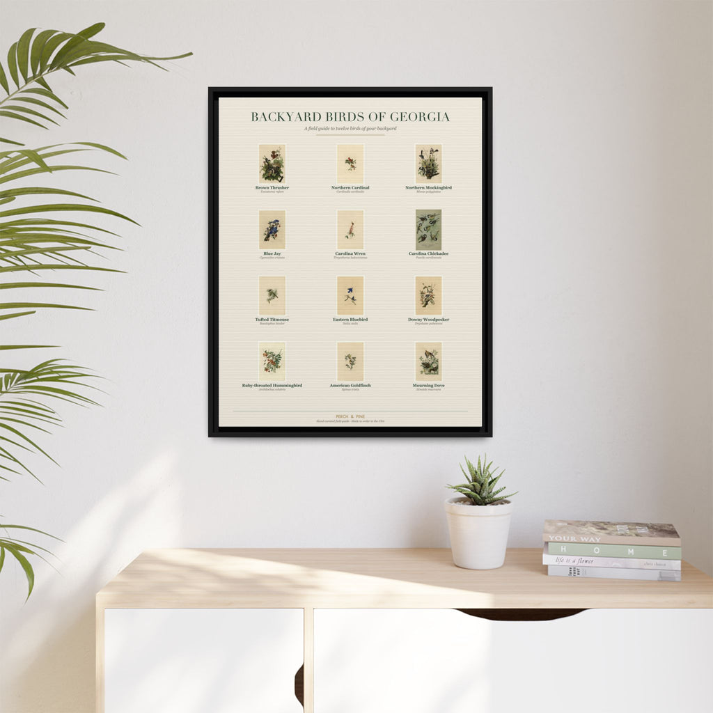 Backyard Birds of Georgia Framed Canvas Wall Art Print