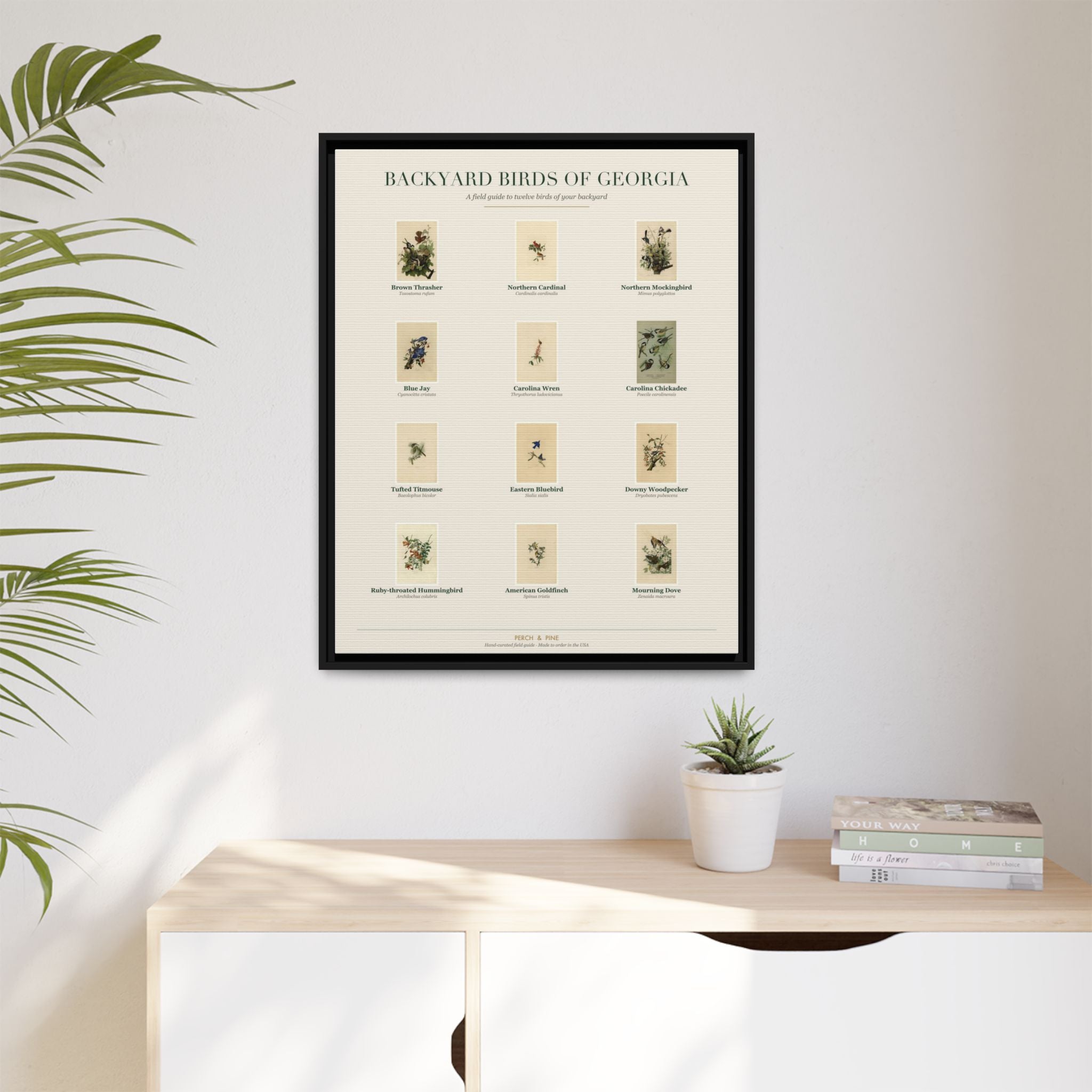 Backyard Birds of Georgia Framed Canvas Wall Art Print