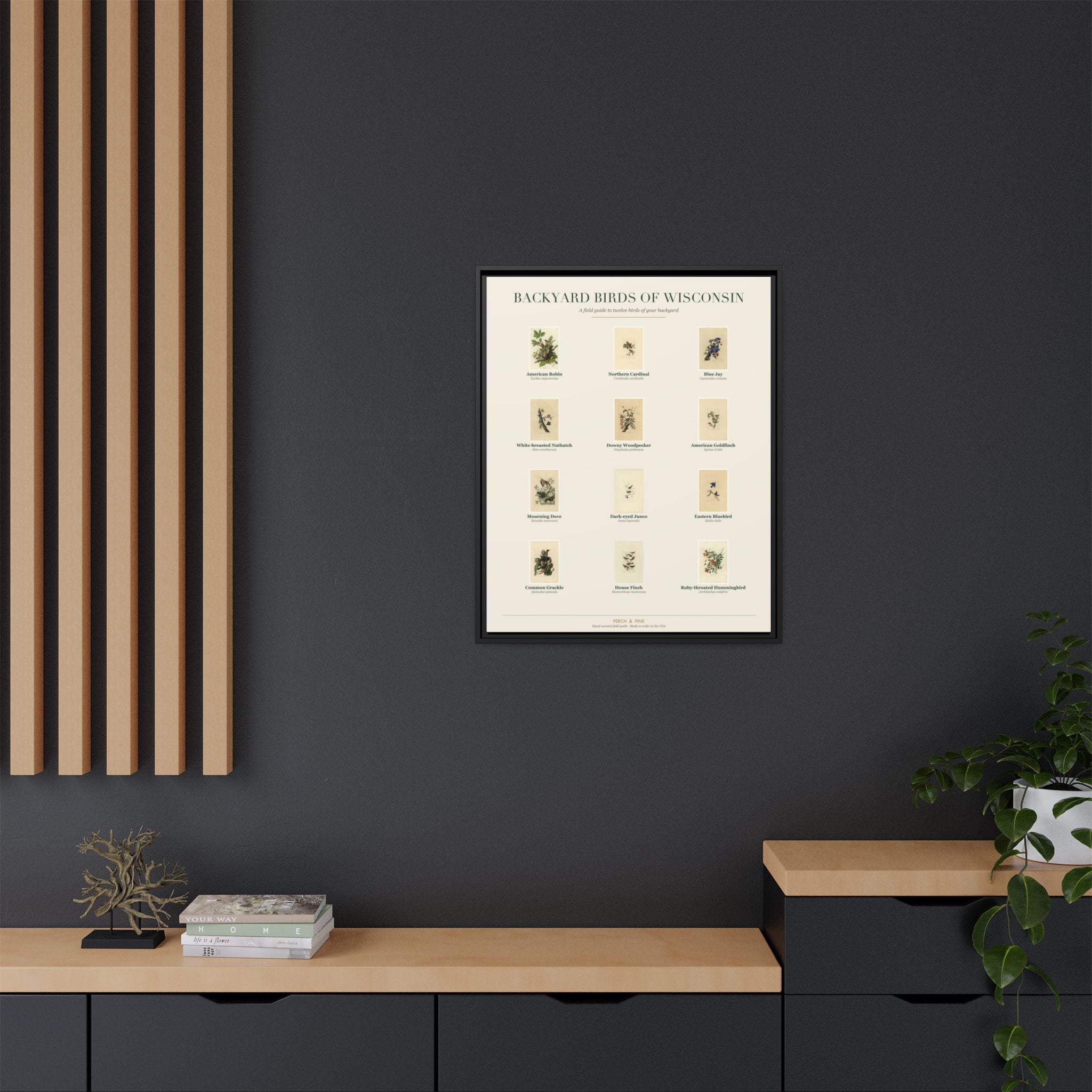 Backyard Birds of Wisconsin — Framed Canvas Bird Identification Print
