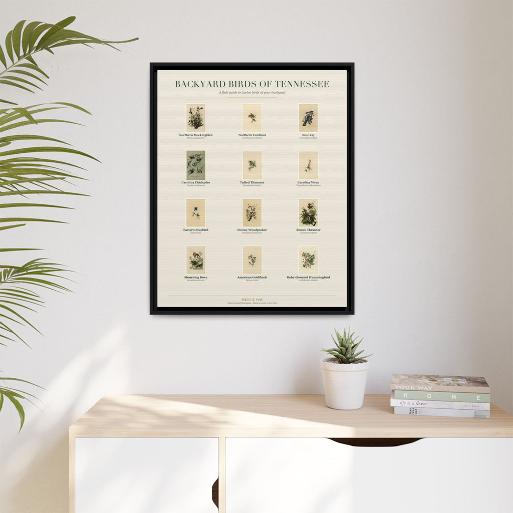 Backyard Birds of Tennessee — Framed Canvas Bird Identification Print