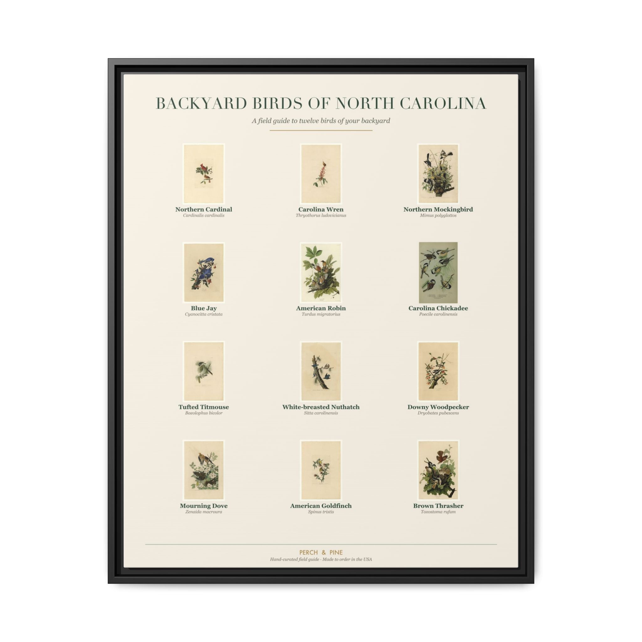 North Carolina backyard birds framed canvas shown on a wall | Perch & Pine