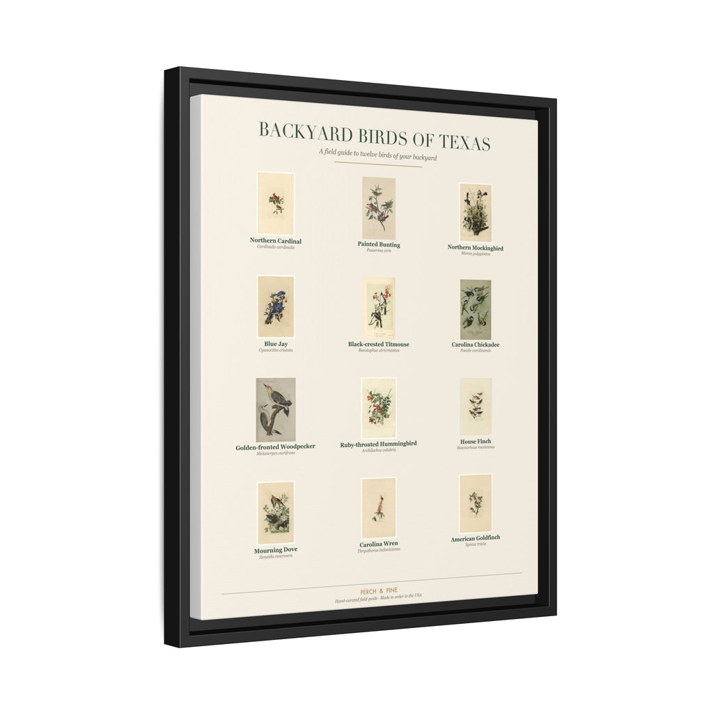 Texas backyard birds print, species labeled by name | Perch & Pine