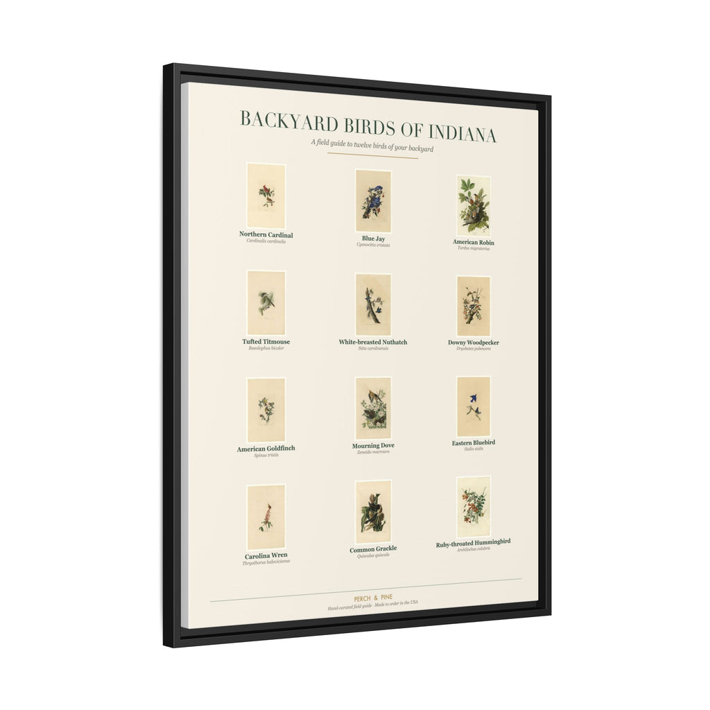 Backyard Birds of Indiana — Framed Canvas Bird Identification Print