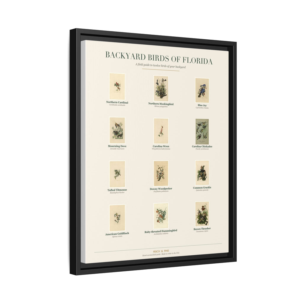 Florida backyard birds print, species labeled by name | Perch & Pine