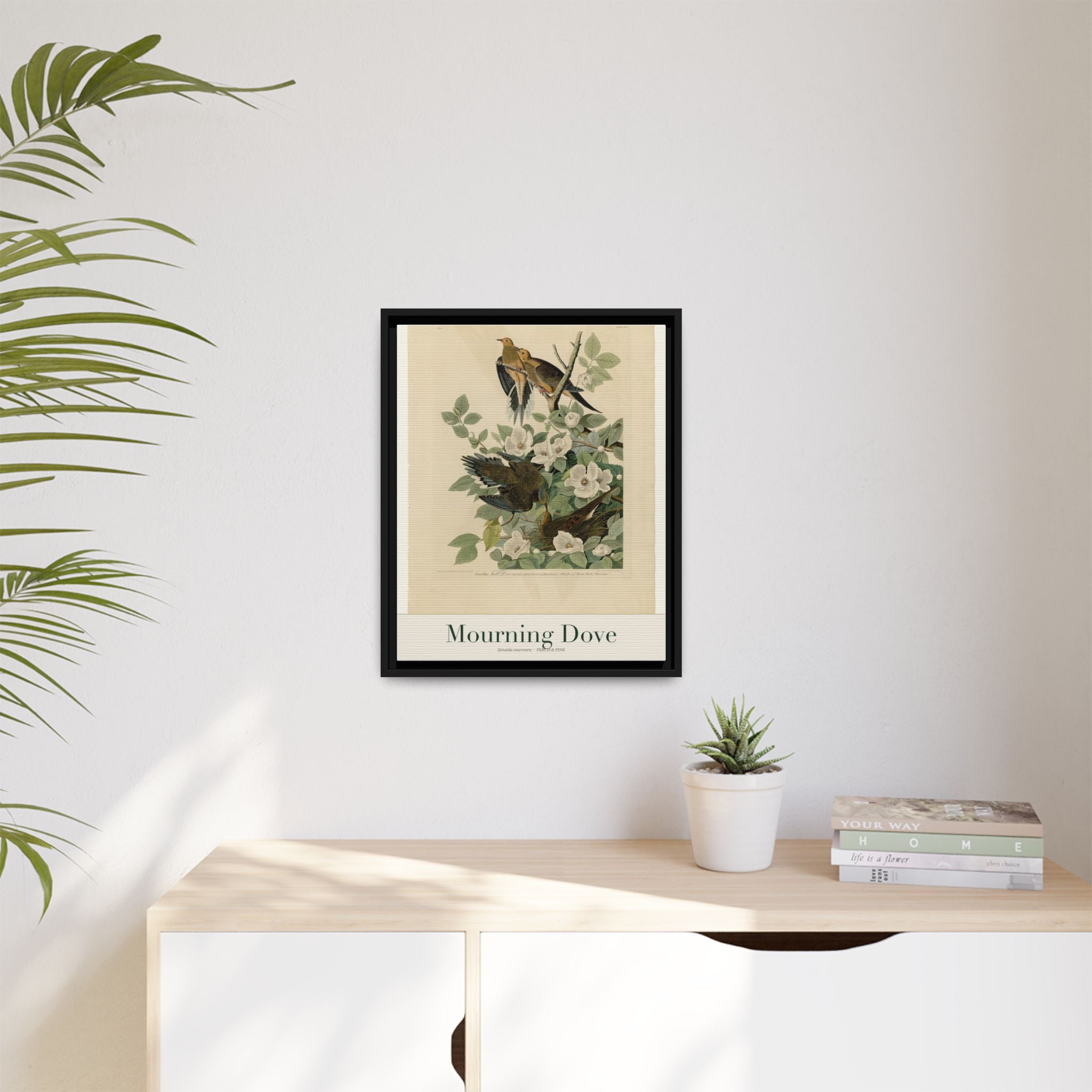 Mourning Dove heritage bird portrait, framed canvas | Perch & Pine