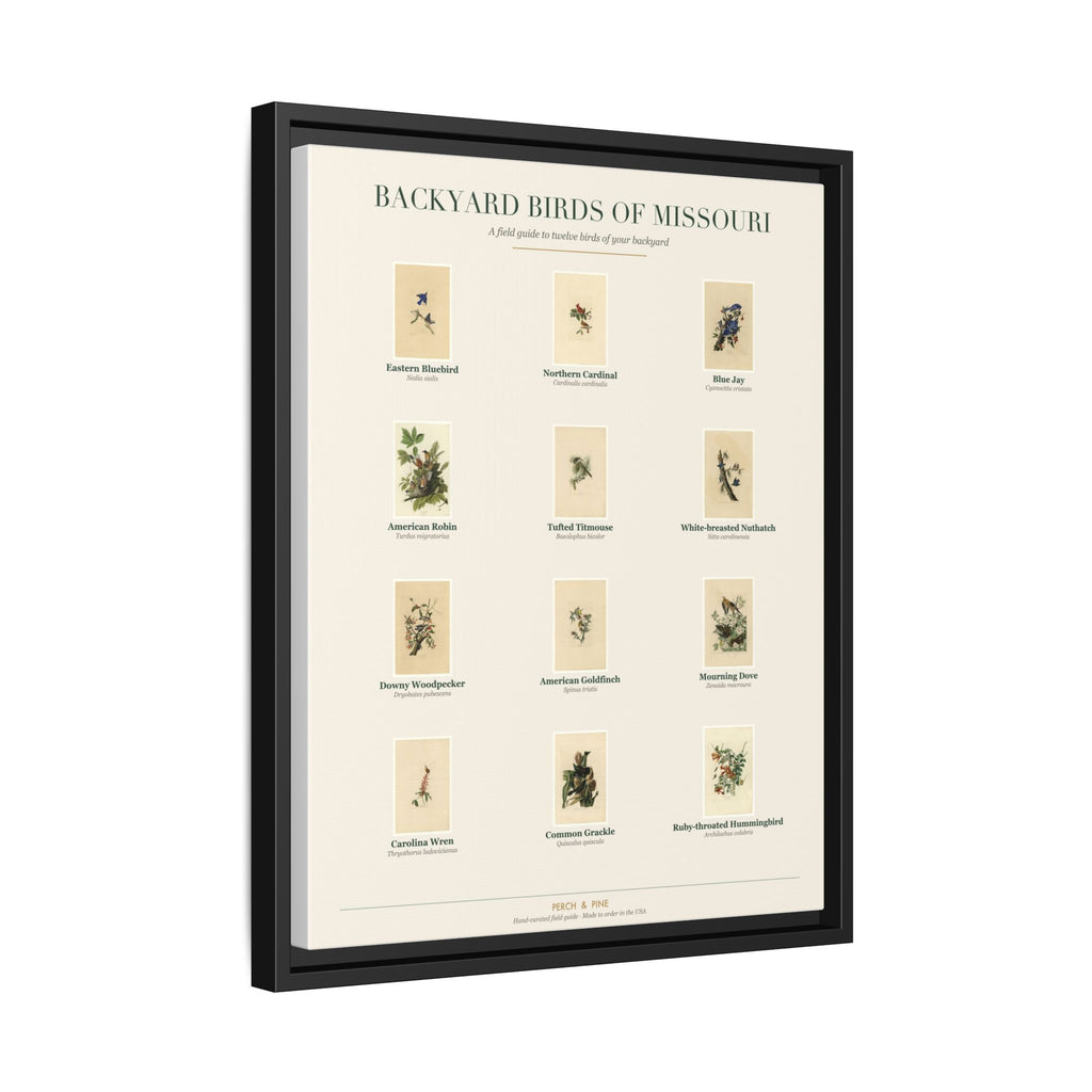 Missouri backyard birds print, species labeled by name | Perch & Pine