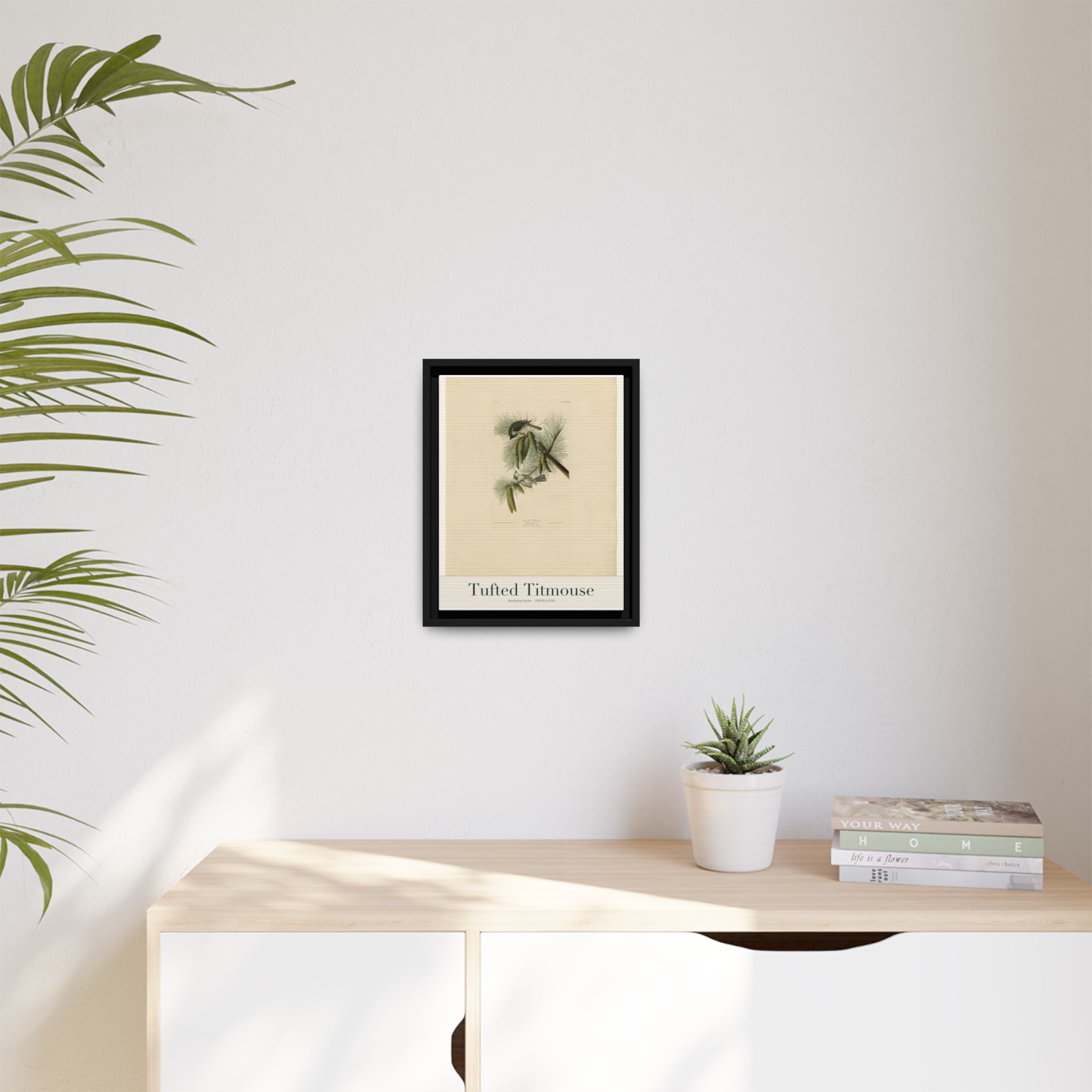 Tufted Titmouse — Framed Canvas Bird Print