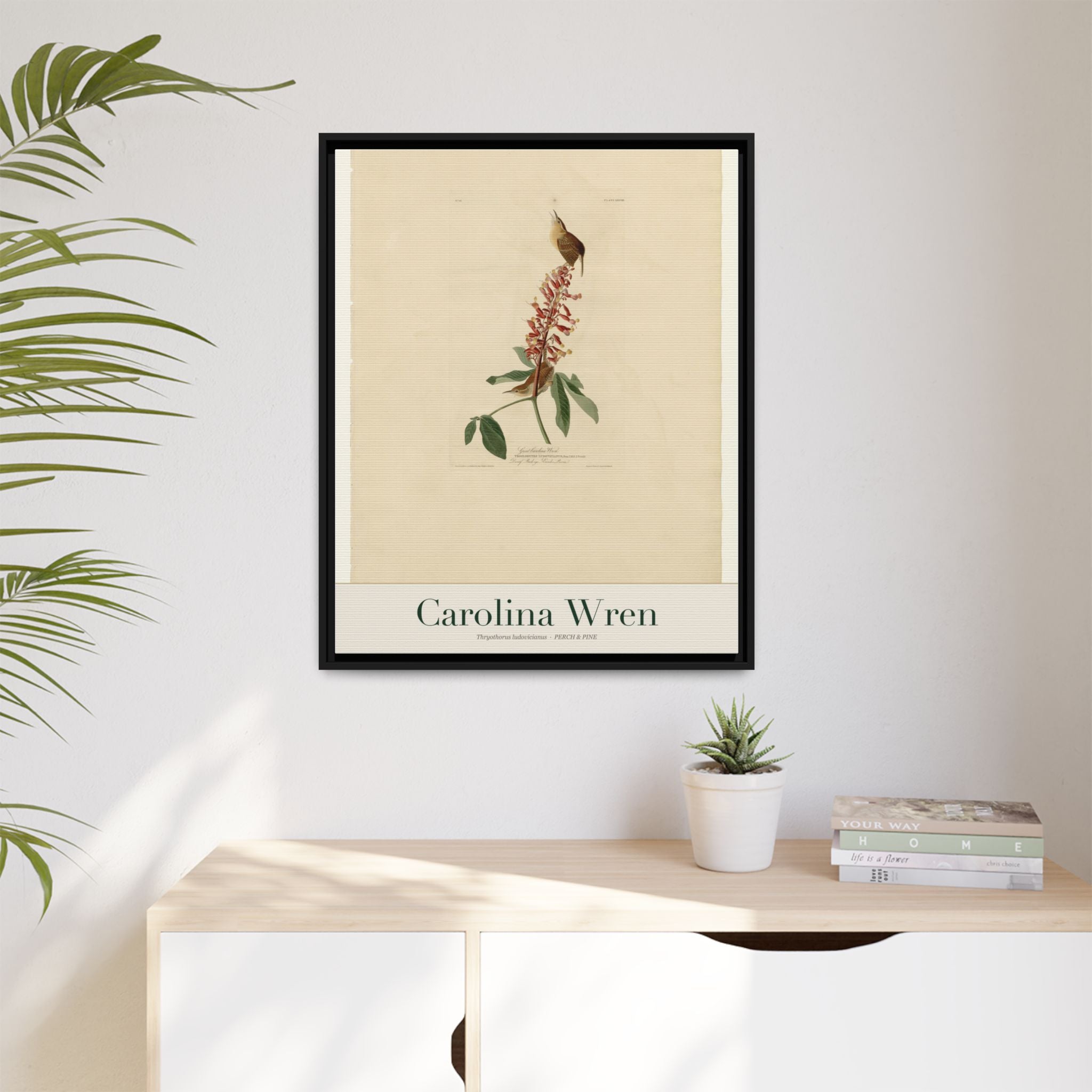 Carolina Wren — Framed Canvas Bird Print