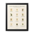Missouri bird field guide wall art — gallery-wrapped canvas | Perch & Pine