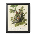 American Robin bird wall art — gallery-wrapped canvas | Perch & Pine