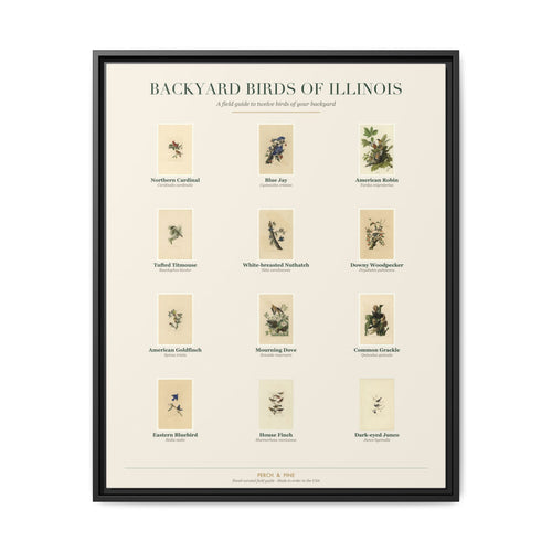 Illinois backyard birds framed canvas shown on a wall | Perch & Pine