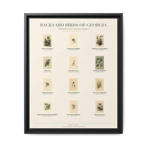 Backyard Birds of Georgia — framed canvas wall art bird identification print | Perch & Pine