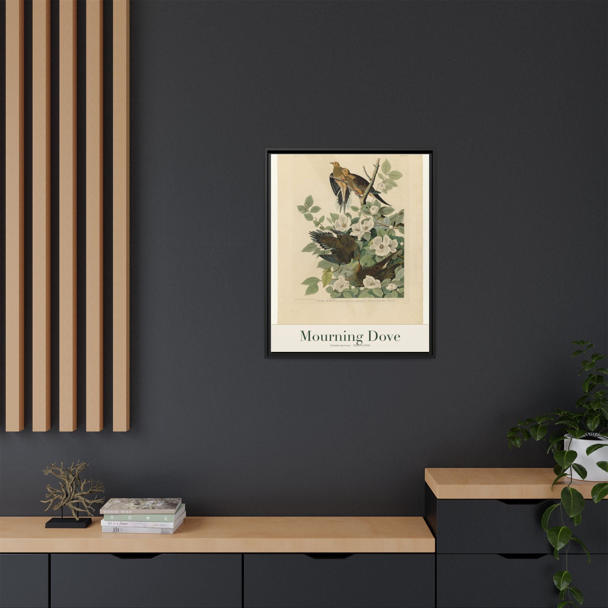 Mourning Dove — Framed Canvas Bird Print