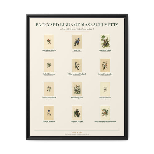 Massachusetts backyard birds framed canvas shown on a wall | Perch & Pine
