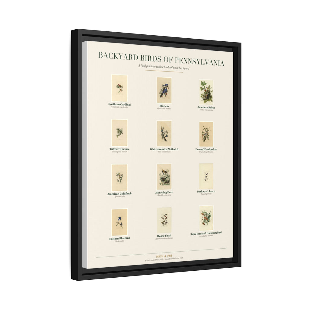Pennsylvania backyard birds print, species labeled by name | Perch & Pine