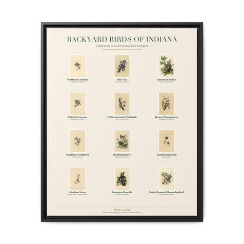 Indiana backyard birds framed canvas shown on a wall | Perch & Pine