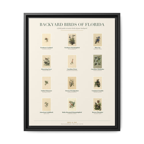 Backyard Birds of Florida — framed canvas wall art bird identification print | Perch & Pine