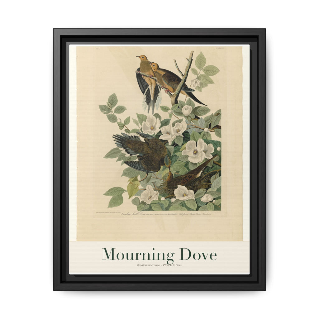 Mourning Dove bird wall art — gallery-wrapped canvas | Perch & Pine