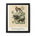 Mourning Dove bird wall art — gallery-wrapped canvas | Perch & Pine