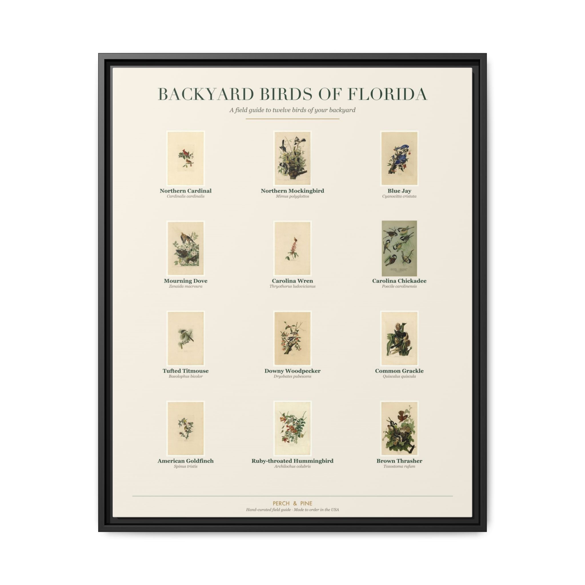 Florida backyard birds framed canvas shown on a wall | Perch & Pine